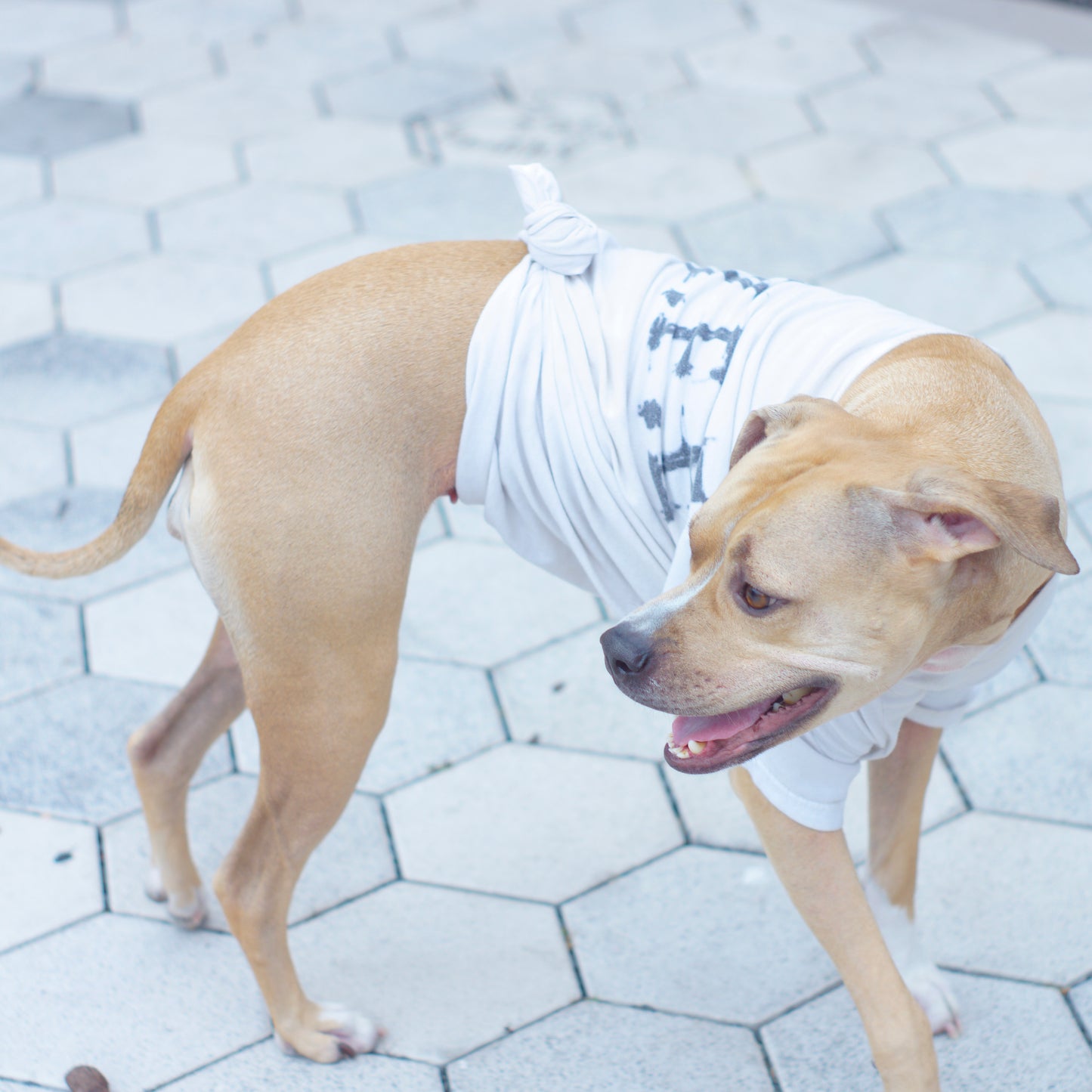 "OneLyfe" T-Shirts