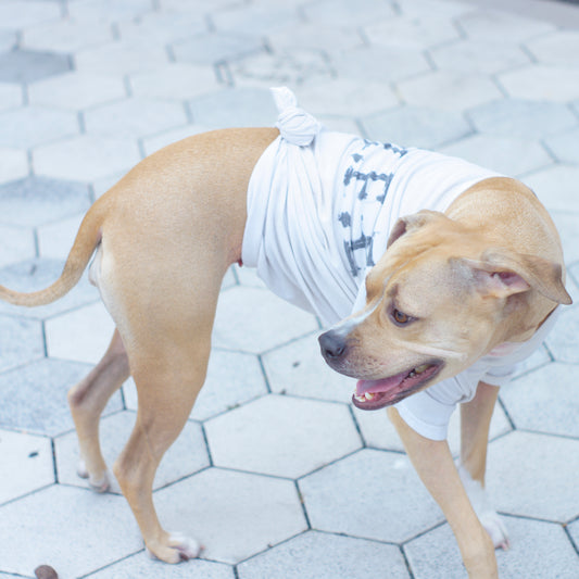 "OneLyfe" T-Shirts